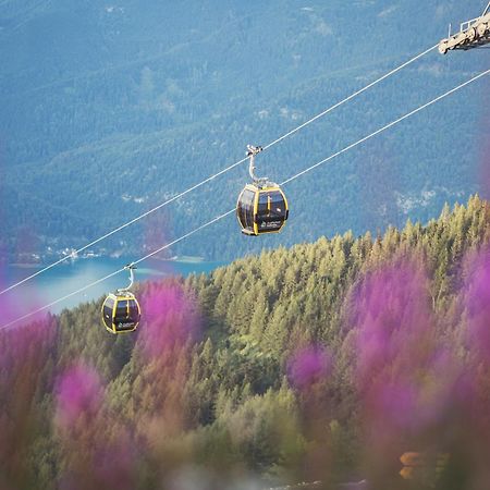 Apartement Zwoelferhorn ザンクト・ギルゲン エクステリア 写真
